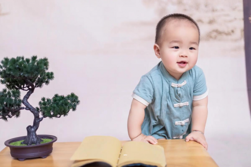 禹城可爱的企鹅宝宝